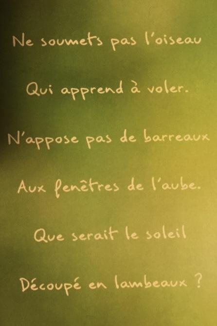 Quatrième de couverture de Silencieuse est la joie